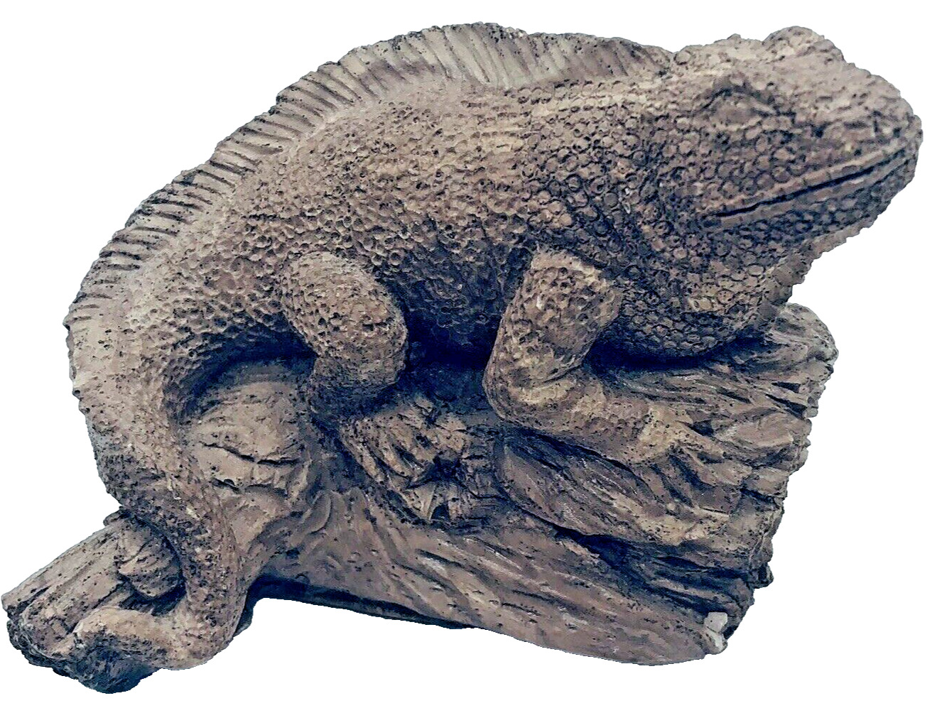 Iguana Lizard Figurine Resin Reptile Sculpture Art Decor Tropical Artist Signed