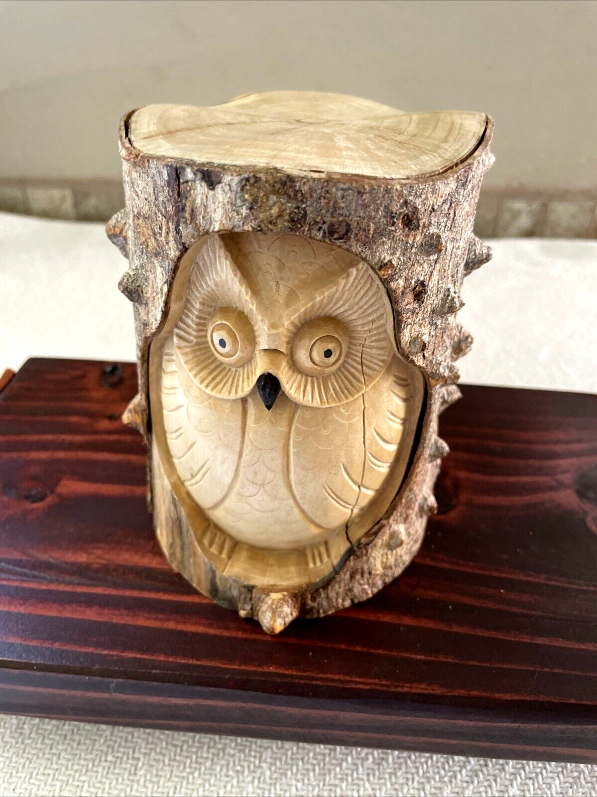 Owl Hand Carved Tree Branch Log Trunk G6 Collection Rustic Wood Carving  6\