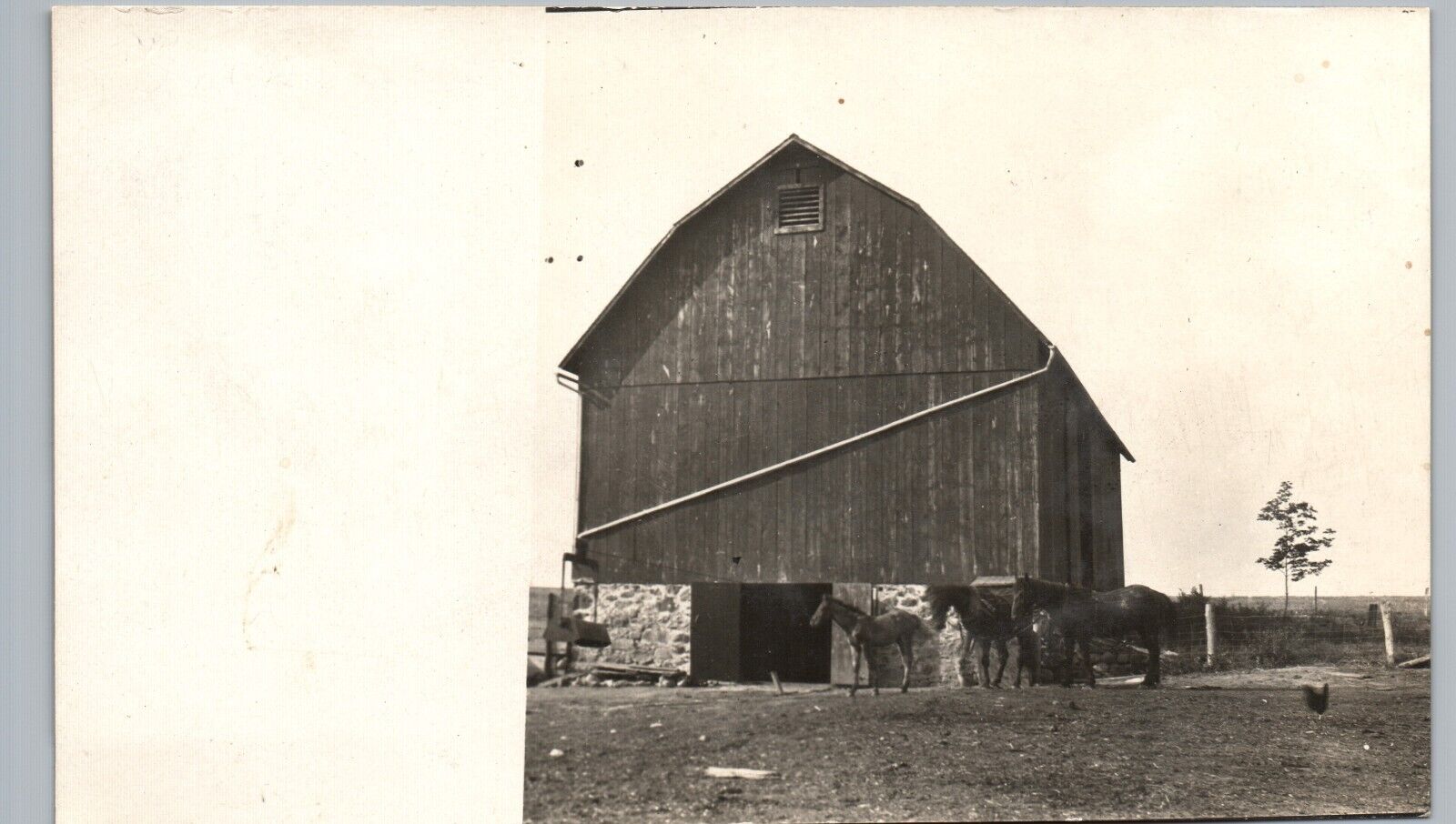 HORSES & BARN c1910 woodville wi real photo postcard rppc wisconsin farm history