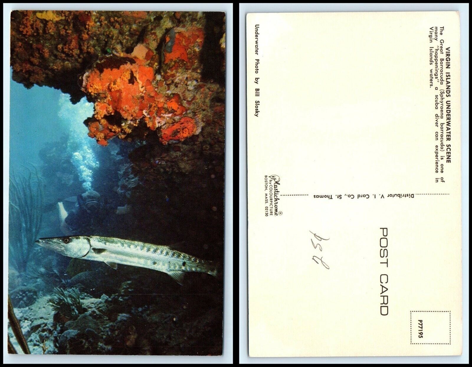 VIRGIN ISLANDS Postcard - The Great Barracuda AJ