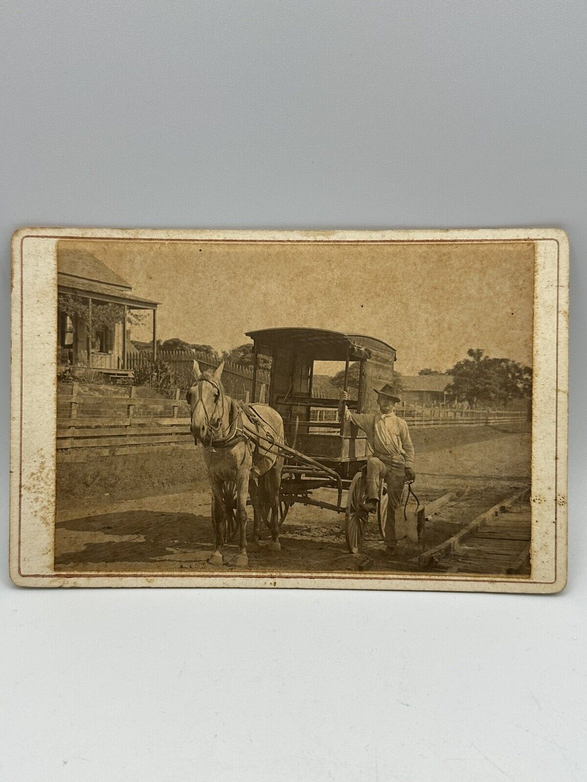 Antique Cabinet Photo Man Farmer Horse Buggy Carriage