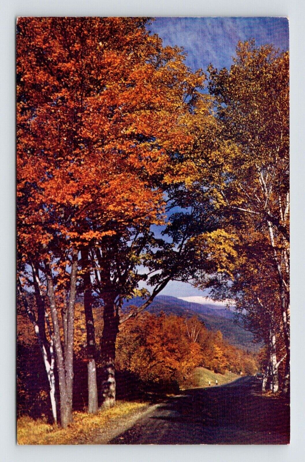Typical Fall Maine Scene ME Postcard UNP VTG Mike Roberts Unused Vintage Chrome