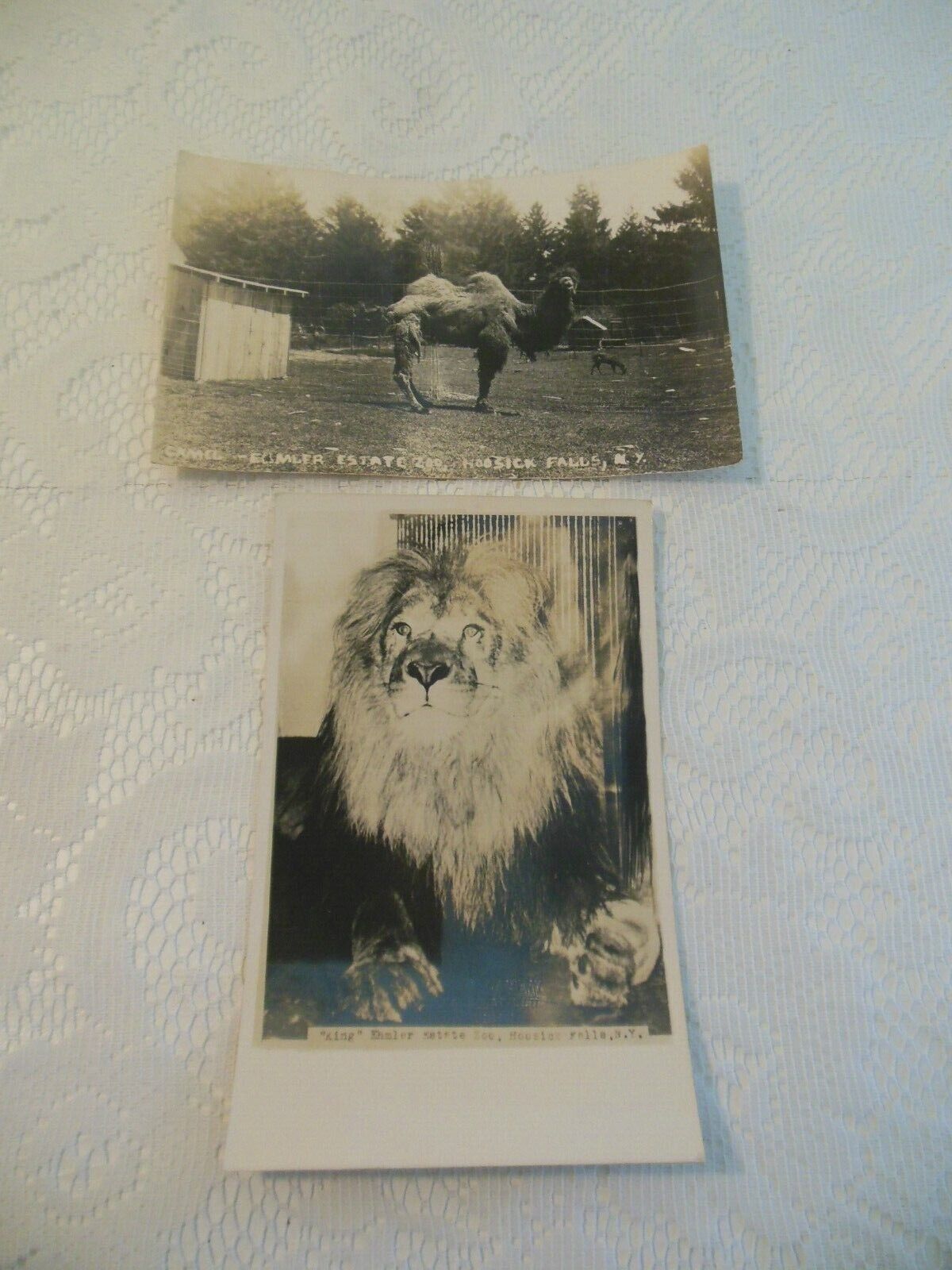 vintage RPPC post card Ehmler estate zoo in Hoosick, NY - Lot of (2) card unused
