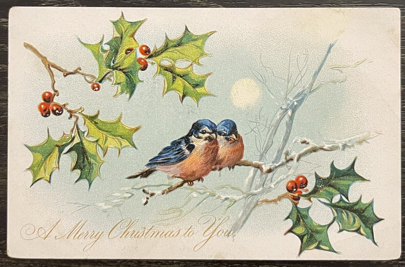 A Merry Christmas to You Tuck’s Vintage Postcard Bird Holly Moon Pre-1907