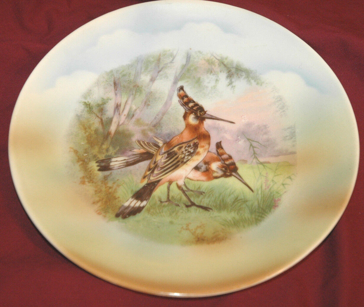 Vtg German HAND PAINTED CABINET PLATE GERMANY Colorful Bird RARE Antique  