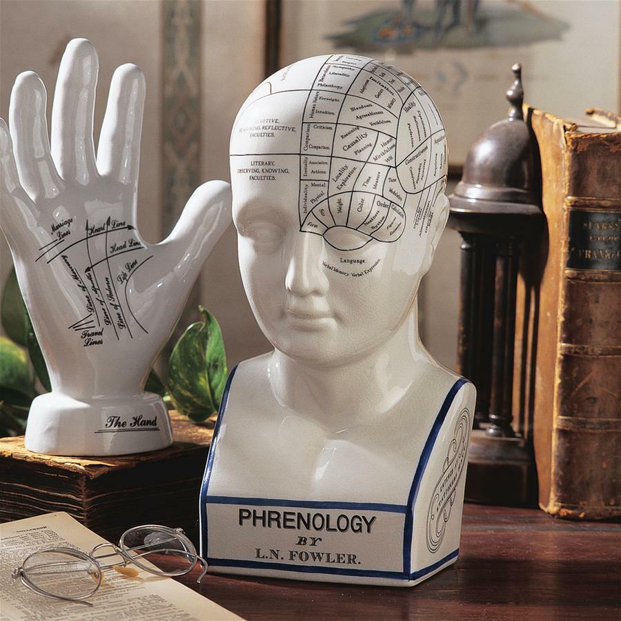 19th Century Antique Replica Science of Phrenology Head Reading Porcelain Statue