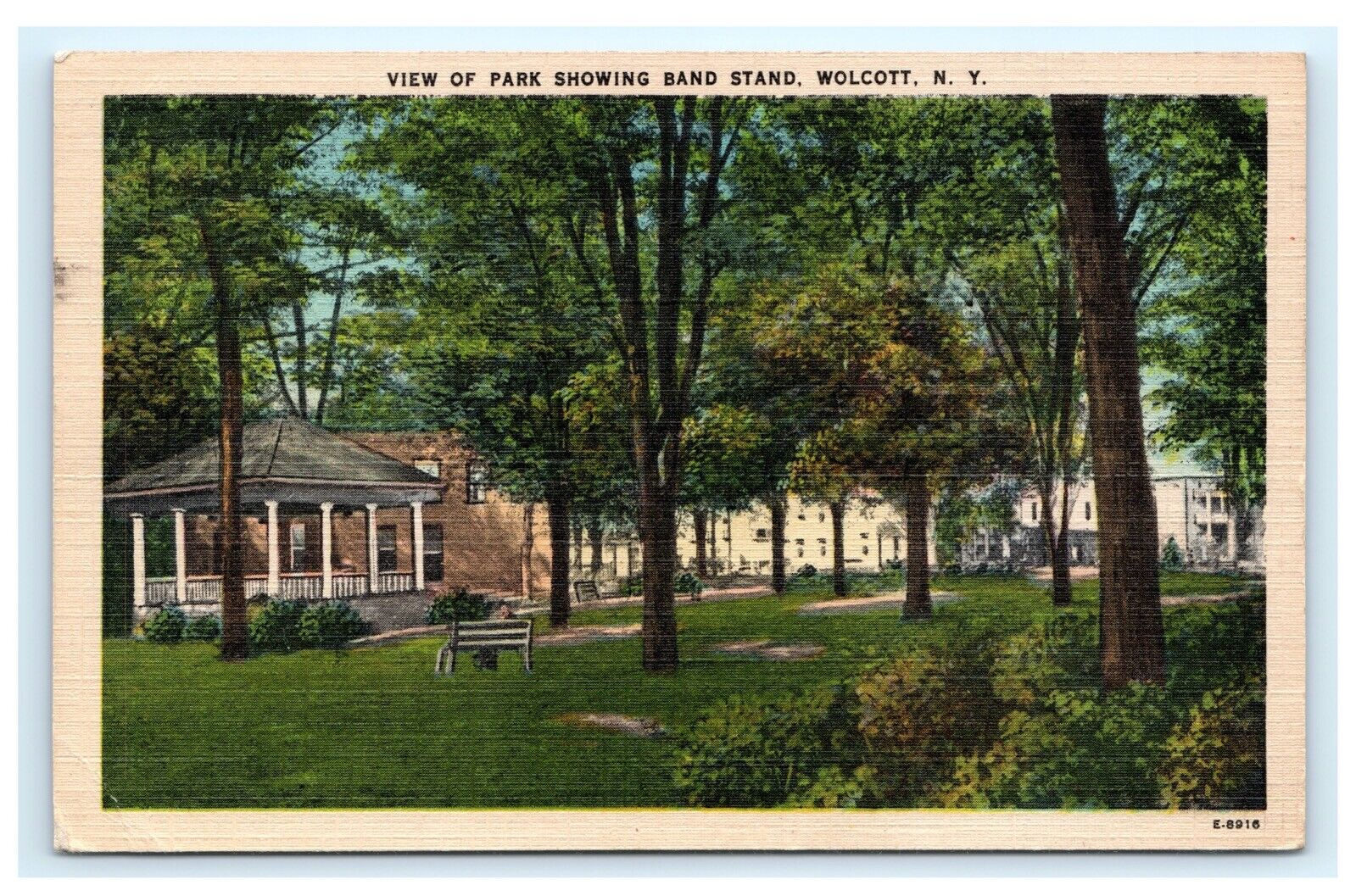 View of Park Showing Band Stand Wolcott NY Wayne County Postcard C13