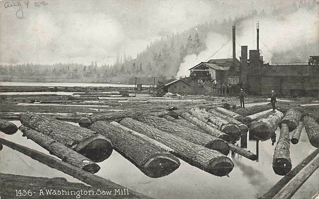 Washington Saw Mill Men Standing On Floating Logs WA c1910 VTG P116