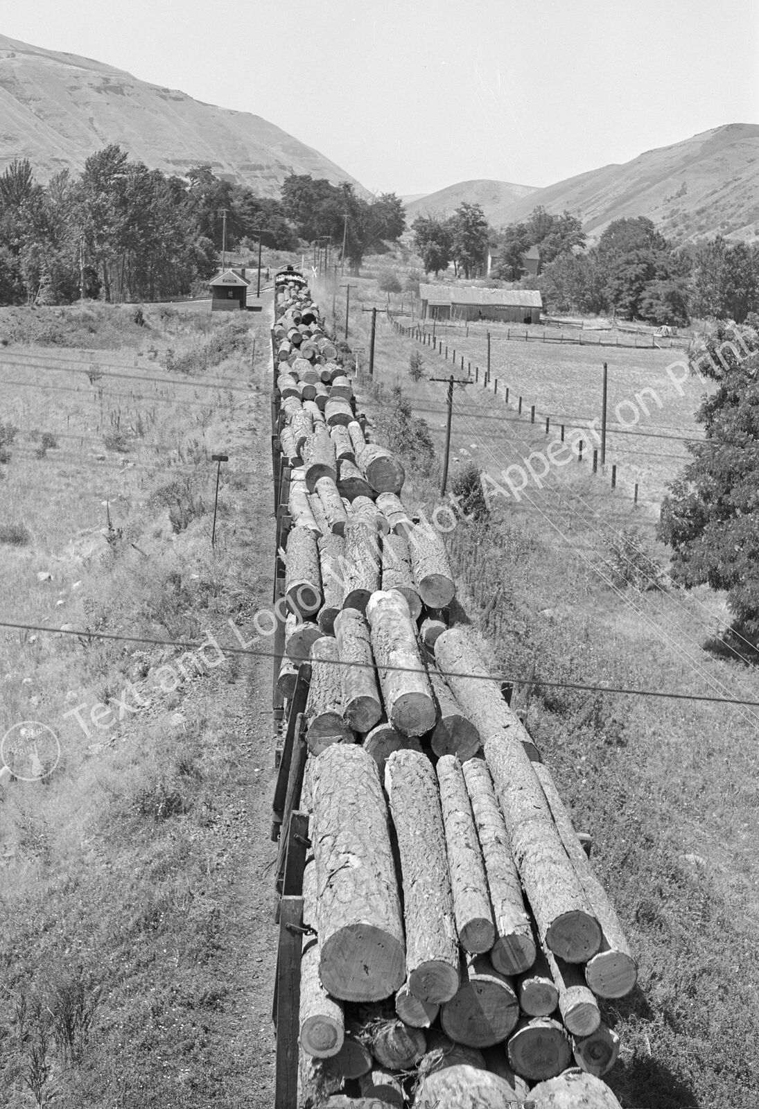 1941 Logging Train, Spalding Junction, Idaho Old Photo 13\