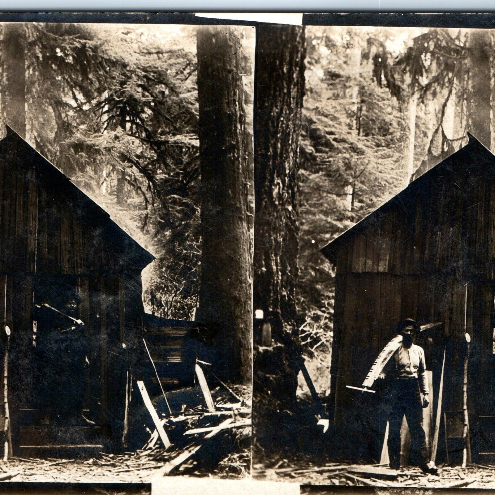 c1910s RARE Stereo Lumberjack Cabin RPPC Man Saw Forestry Occupational Saw A124