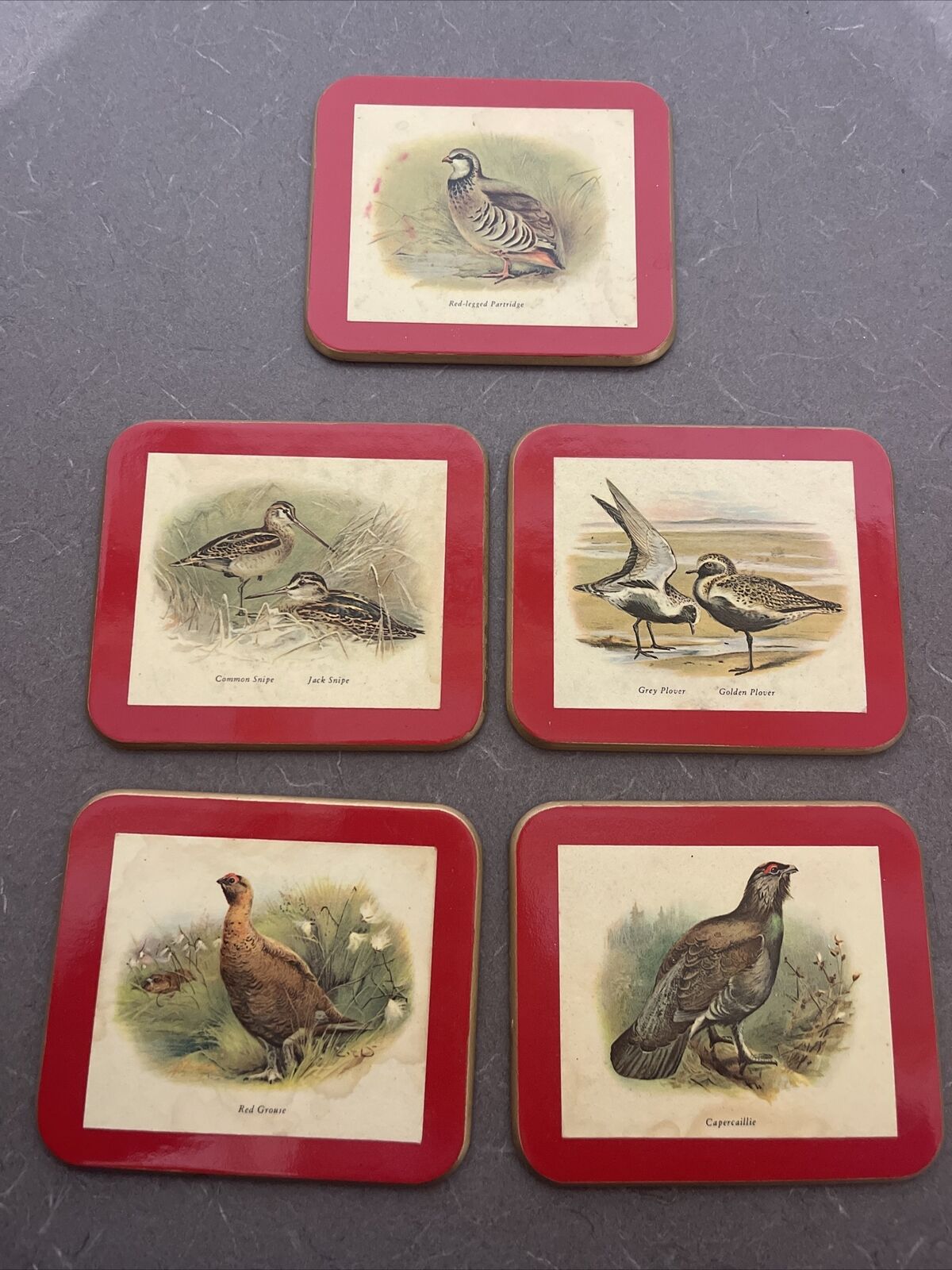 Vtg Brooks Brothers 5 Coasters Birds Grouse Snipe Partridge Plover Capercaillie