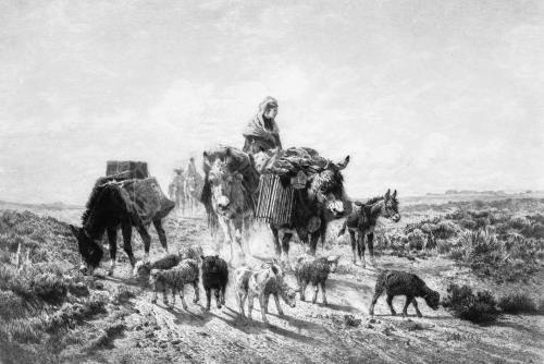 Going to Market,Mexico,Travel,Donkeys,Sheep,c1890,Peter Moran,Animals