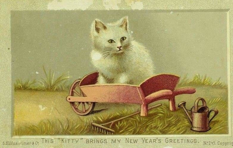 1880\'s-90\'s New Year\'s Card Adorable White Fluffy Kitten Cat Wheelbarrow P94