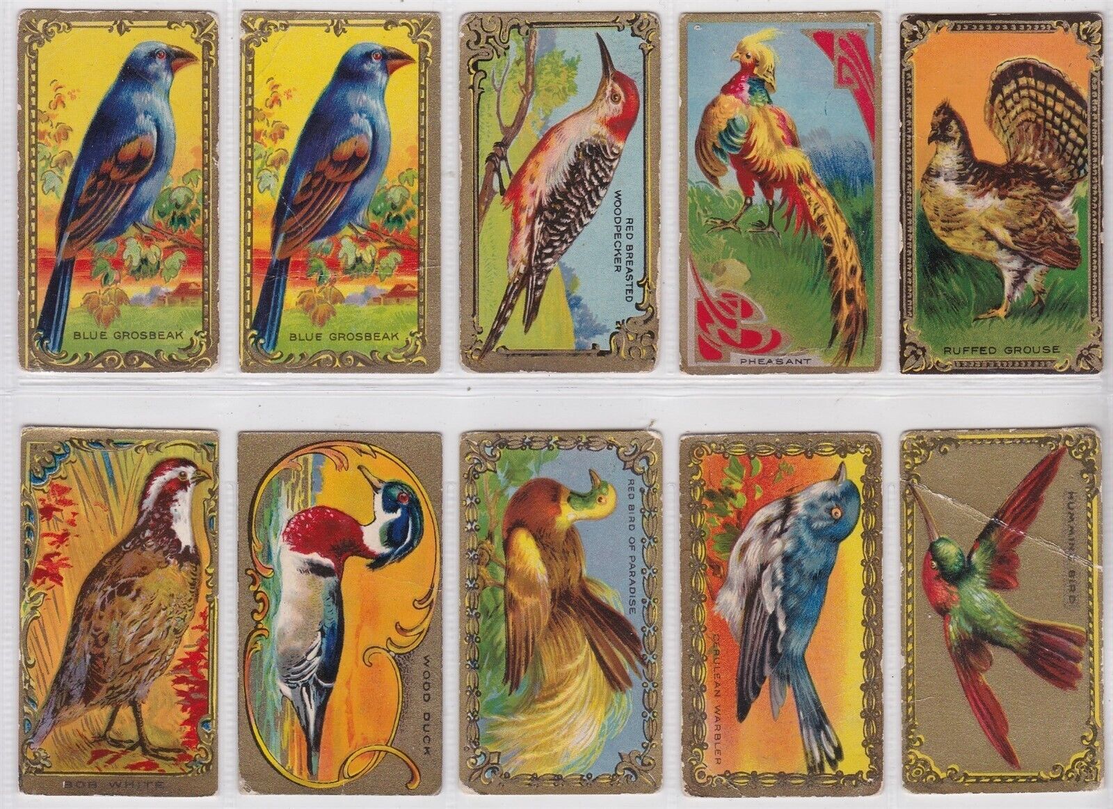 C14 GAME BIRDS, IMPERIAL TOBACCO, LOT OF 10 CARDS BEAUTIFUL TOBACCO SET