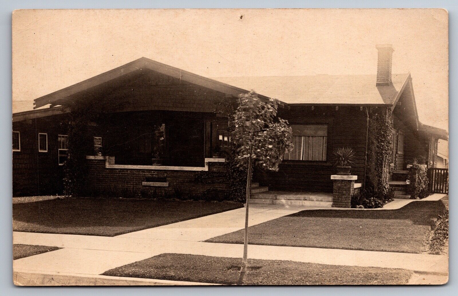 Bungalow Residence RPPC Lovely Victorian Era Home Creeper Vines Postcard