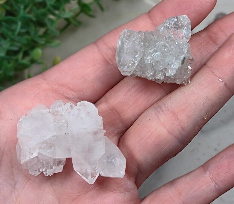 Apophyllite Crystal Cluster Lot Of 2 Small Specimens India 1.2\