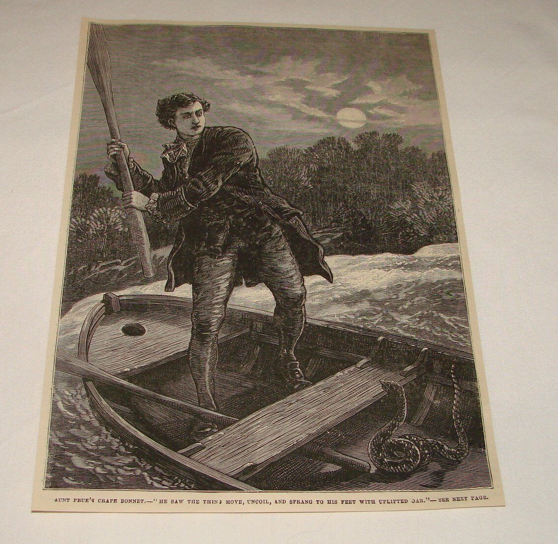 1877 magazine engraving ~ MAN vs SNAKE