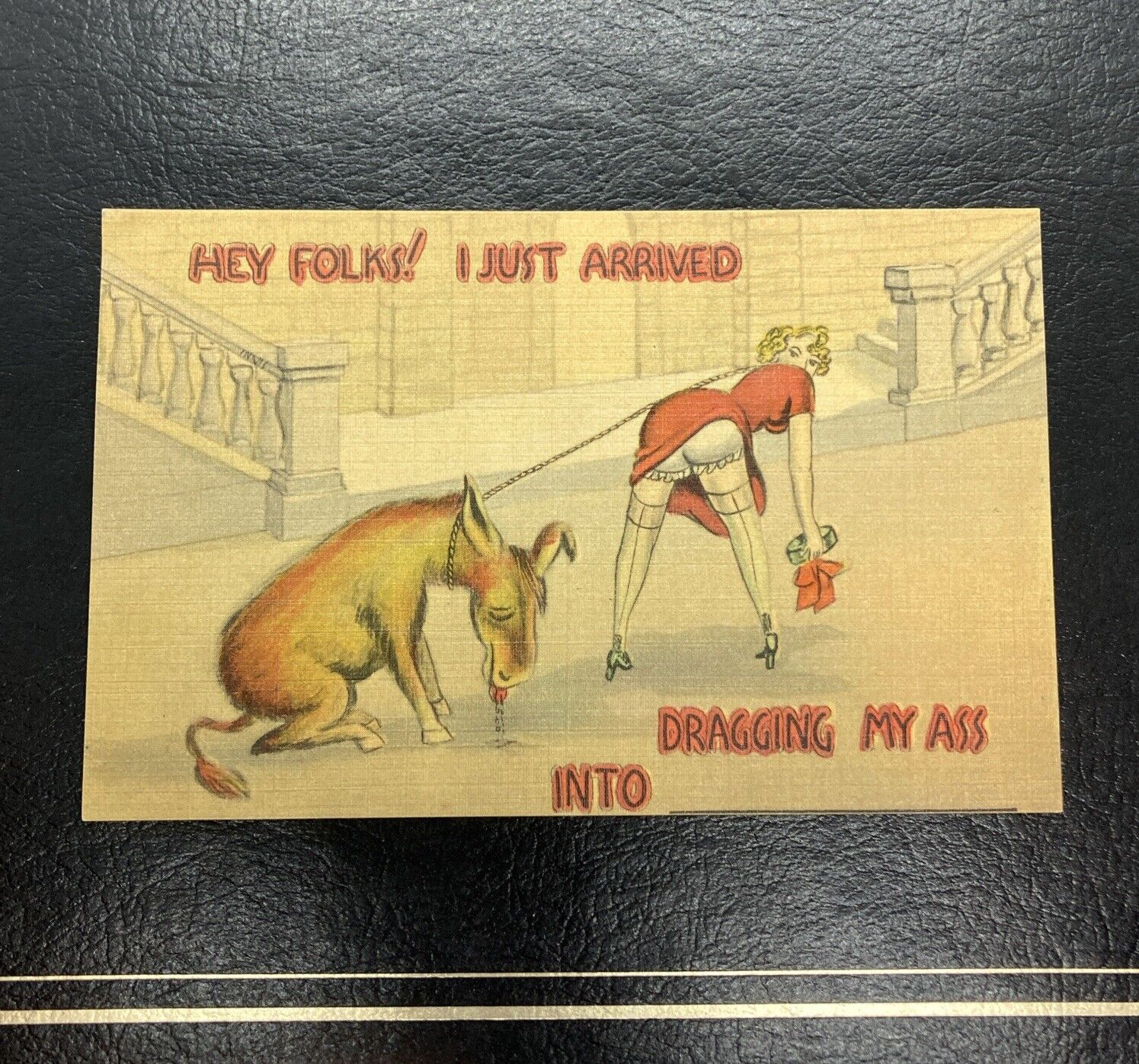 Postcard  Risqué Humor Donkey Lady Knickers c1940’s Linen Unposted