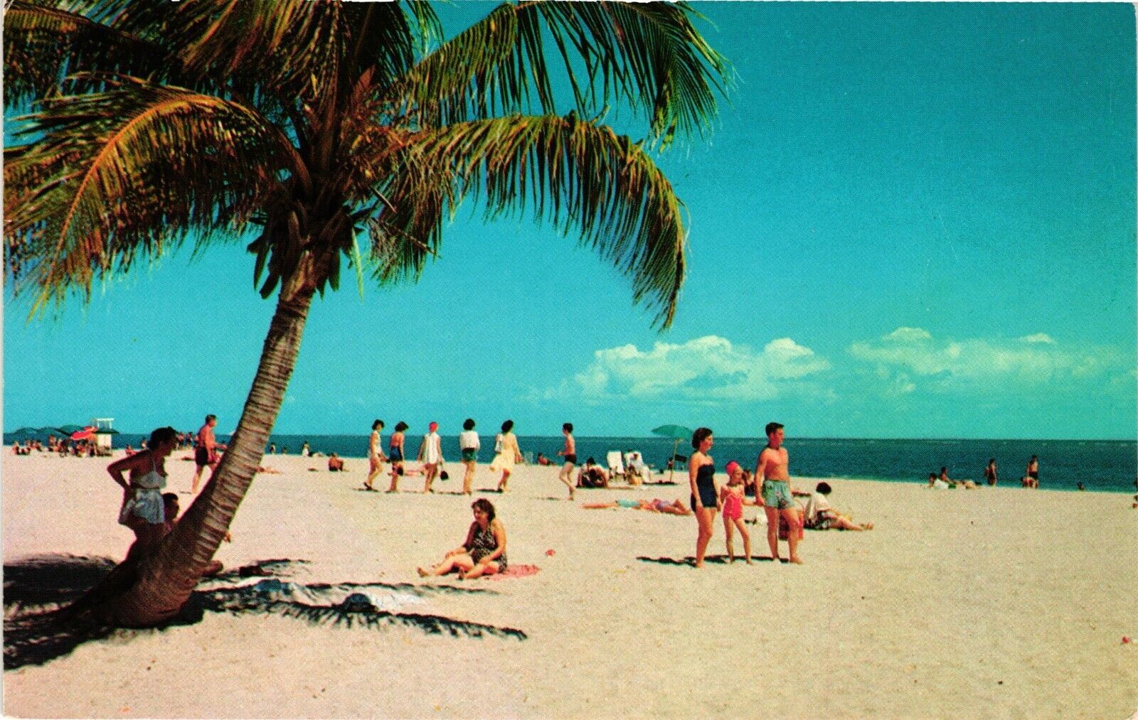 Beach Scene With Tree Clearwater Florida Gulf Coast Vintage Postcard c1970