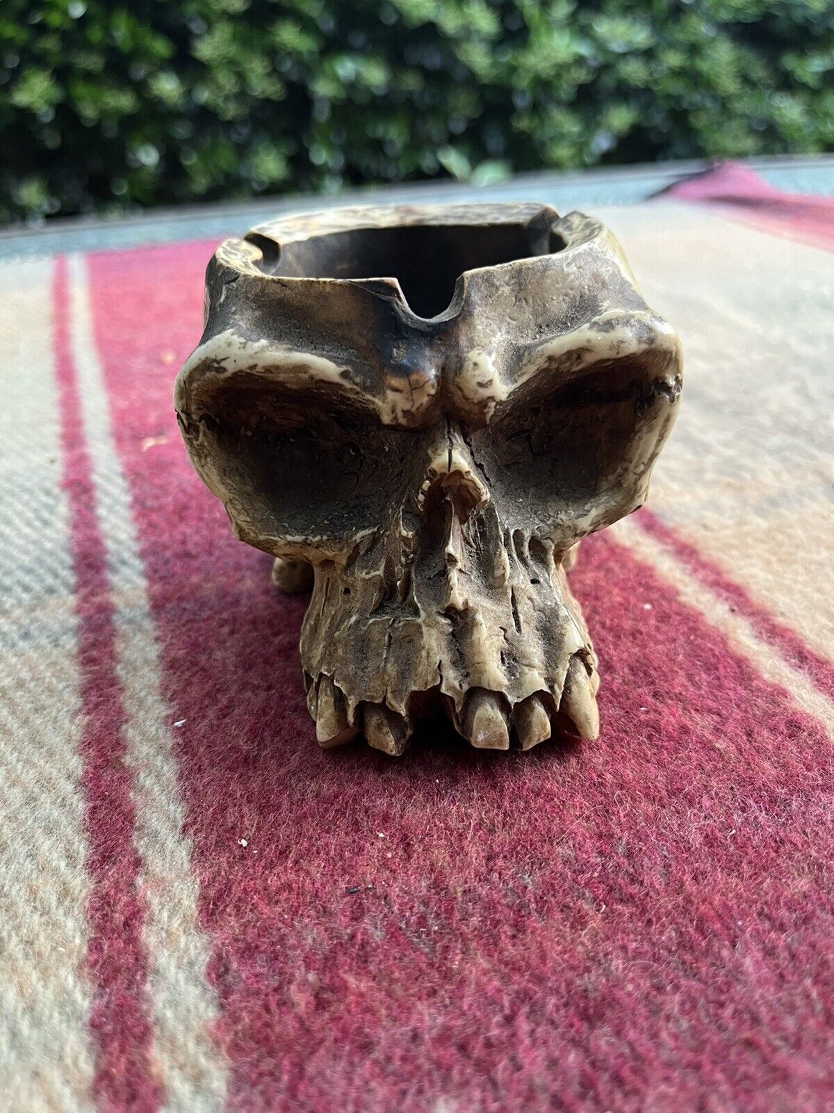 Adams Apple Skull Ashtray. ‘98 WUI skeleton