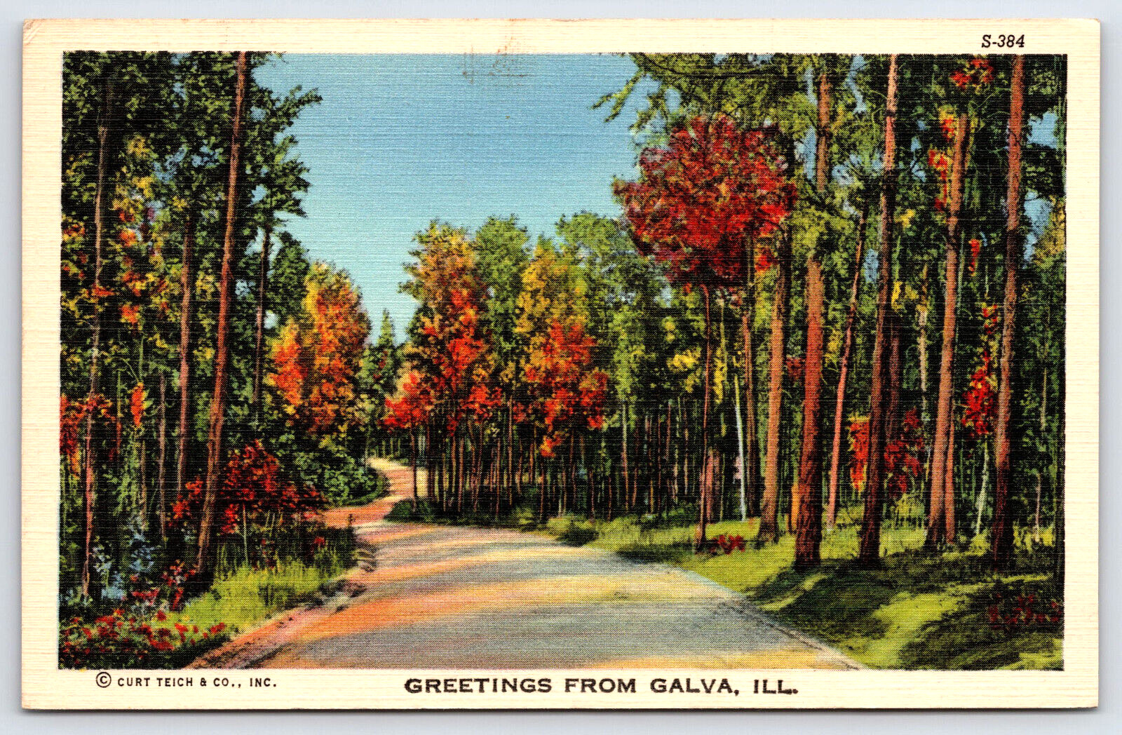 Galva IL-Illinois, Greetings, Trees Road Fall Season Linen Vintage Postcard