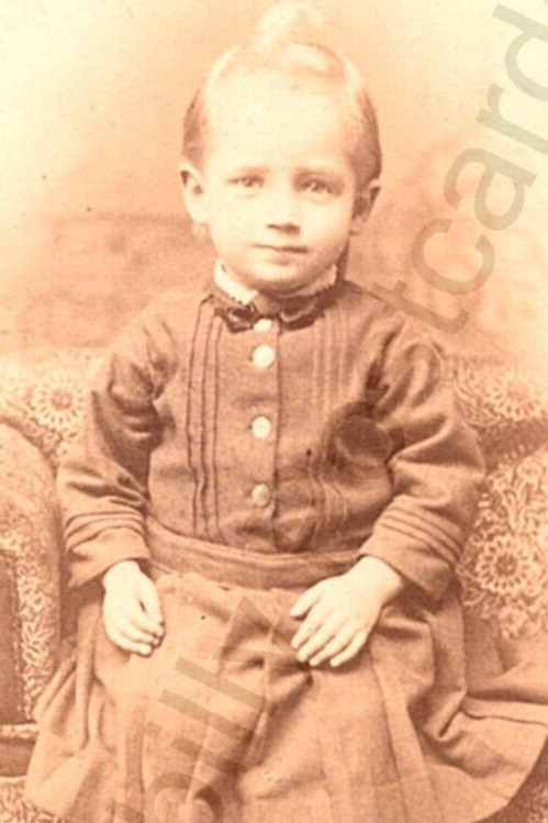 CDV Photo 1800's Chicago, Il. Antique Portrait Of Victorian Child Henry Iverson
