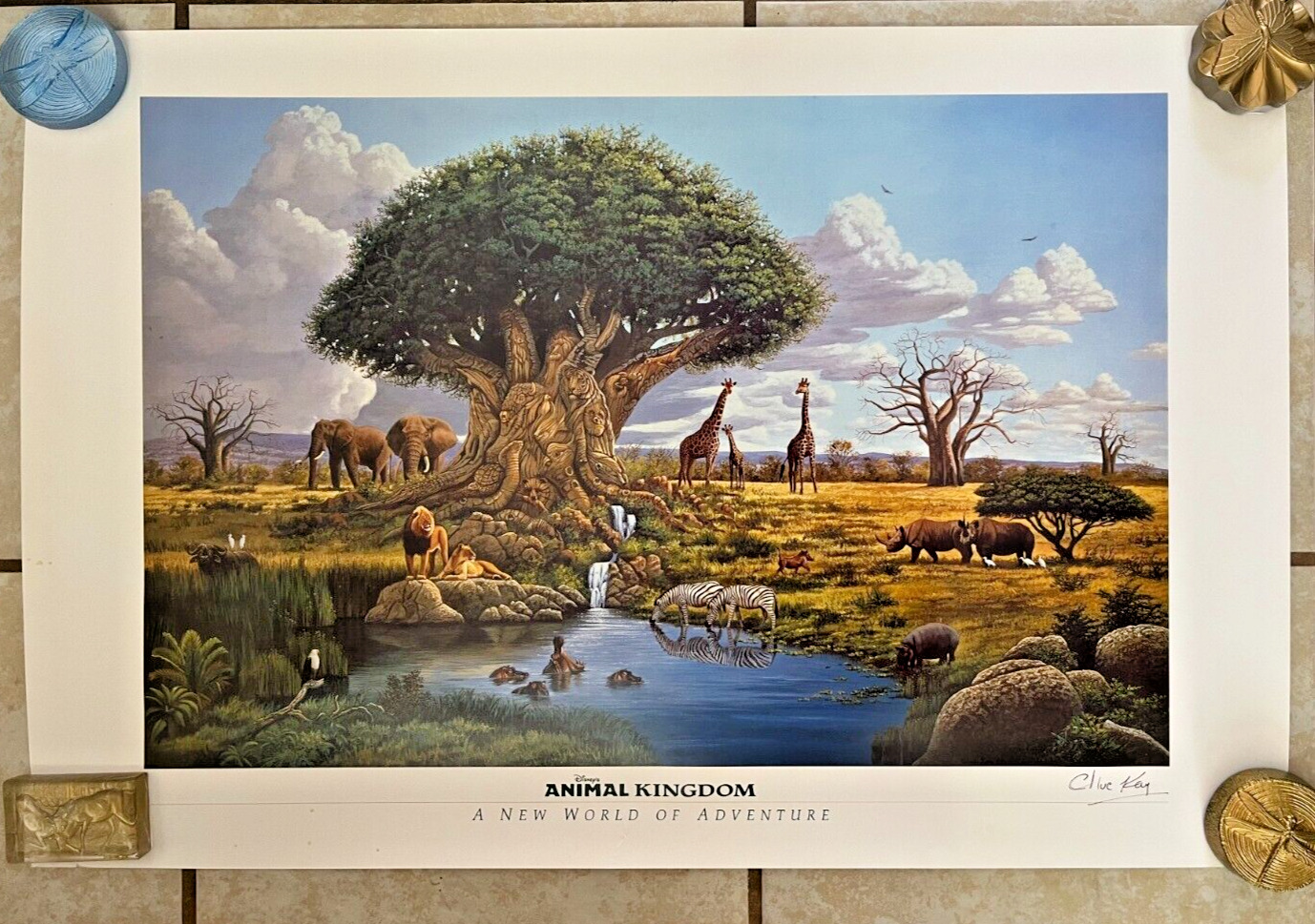 DISNEY ANIMAL KINGDOM Art Print Poster SIGNED Artist Clive Kay 24\