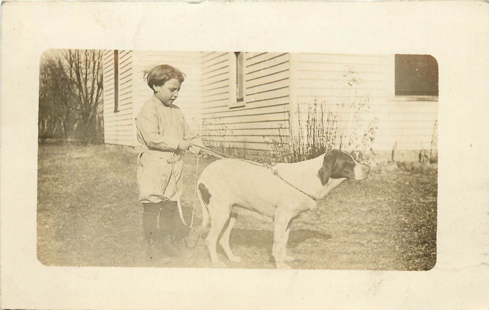 1913 Animal RPPC; Little Boy & Hound Dog on Leash, Posted Olney IL