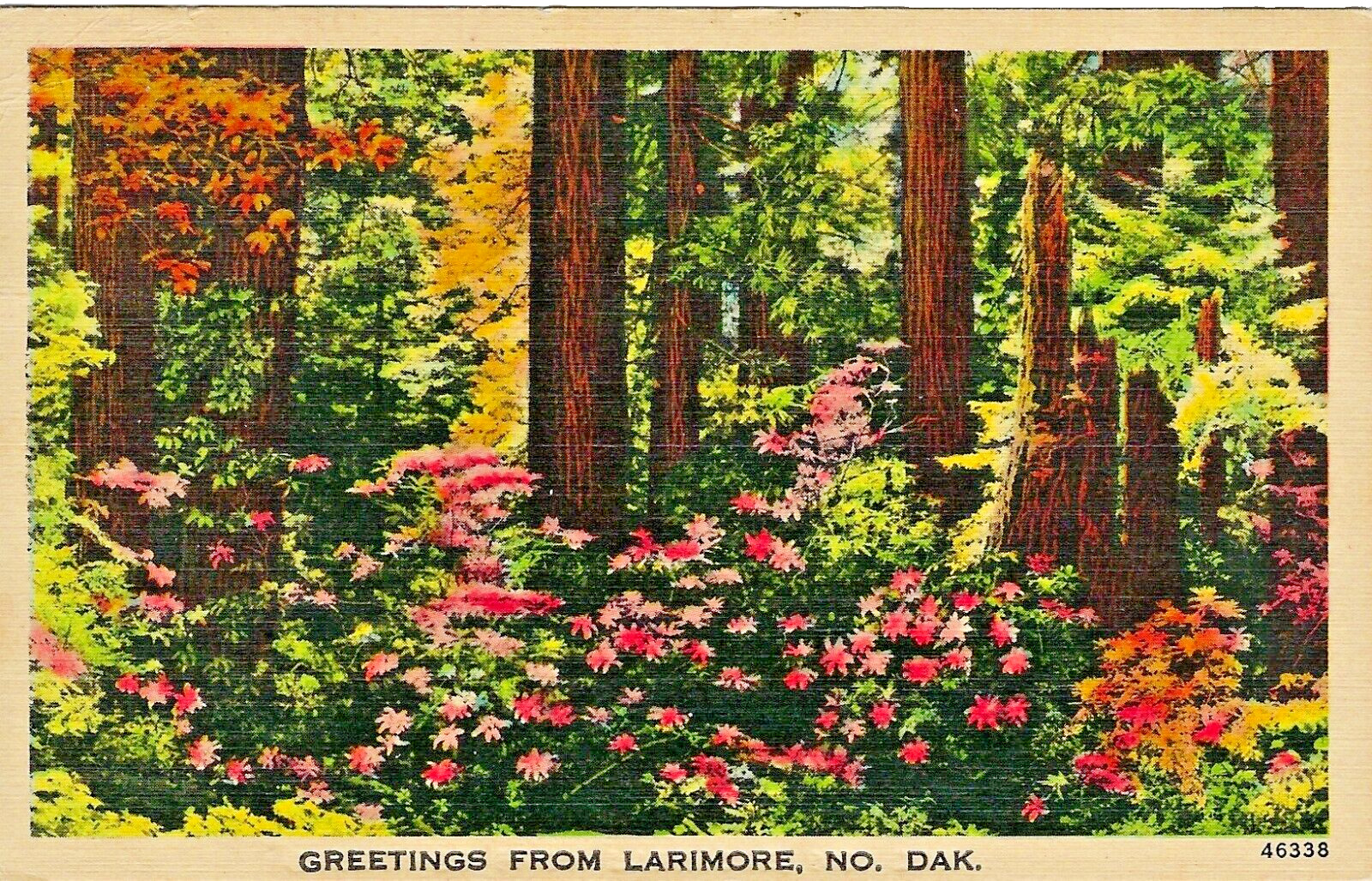 Larimore ND Scenic 1945 Floral Greetings from Larimore