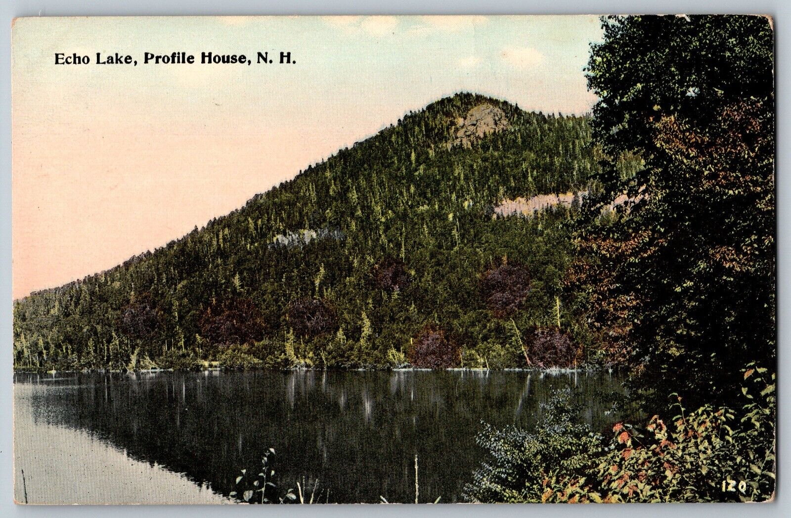 New Hampshire NH - Echo Lake View - Profile House - Vintage Postcard - Unposted