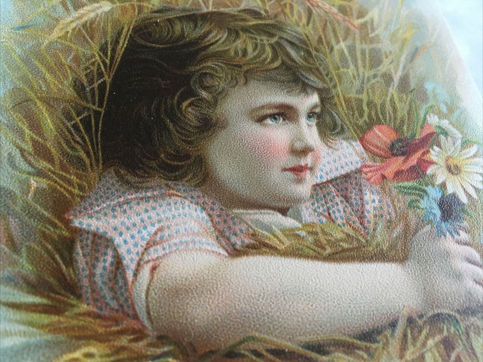 Victorian trade card Milwaukee Harvester Company Girl Hay 1893 Colombian Chicago