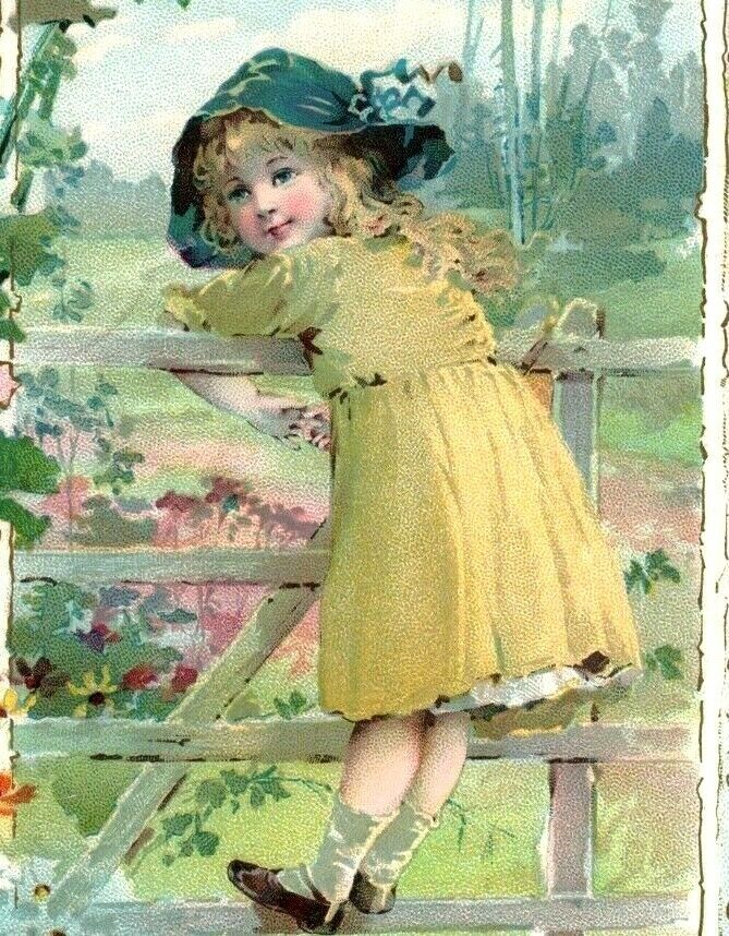 1890s McLaughlin\'s XXXX Coffee Adorable Girl On Fence #5K
