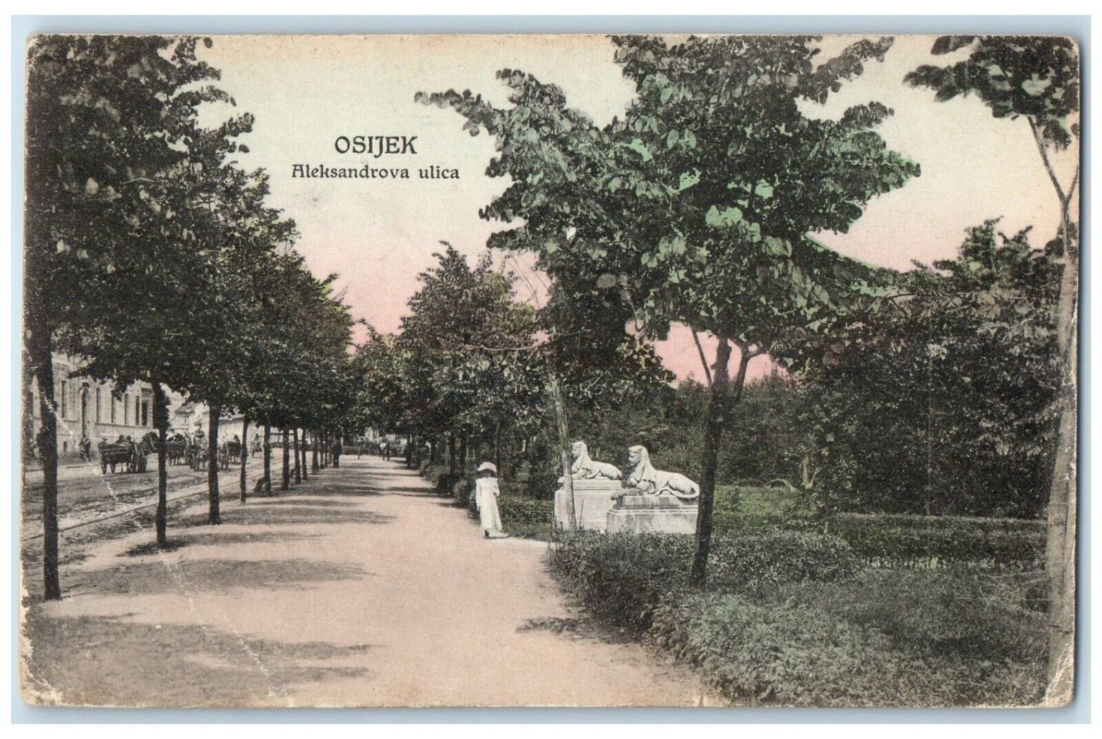 c1910 Aleksandrova Ulica Osijek Slavonia Croatia Posted Antique Postcard