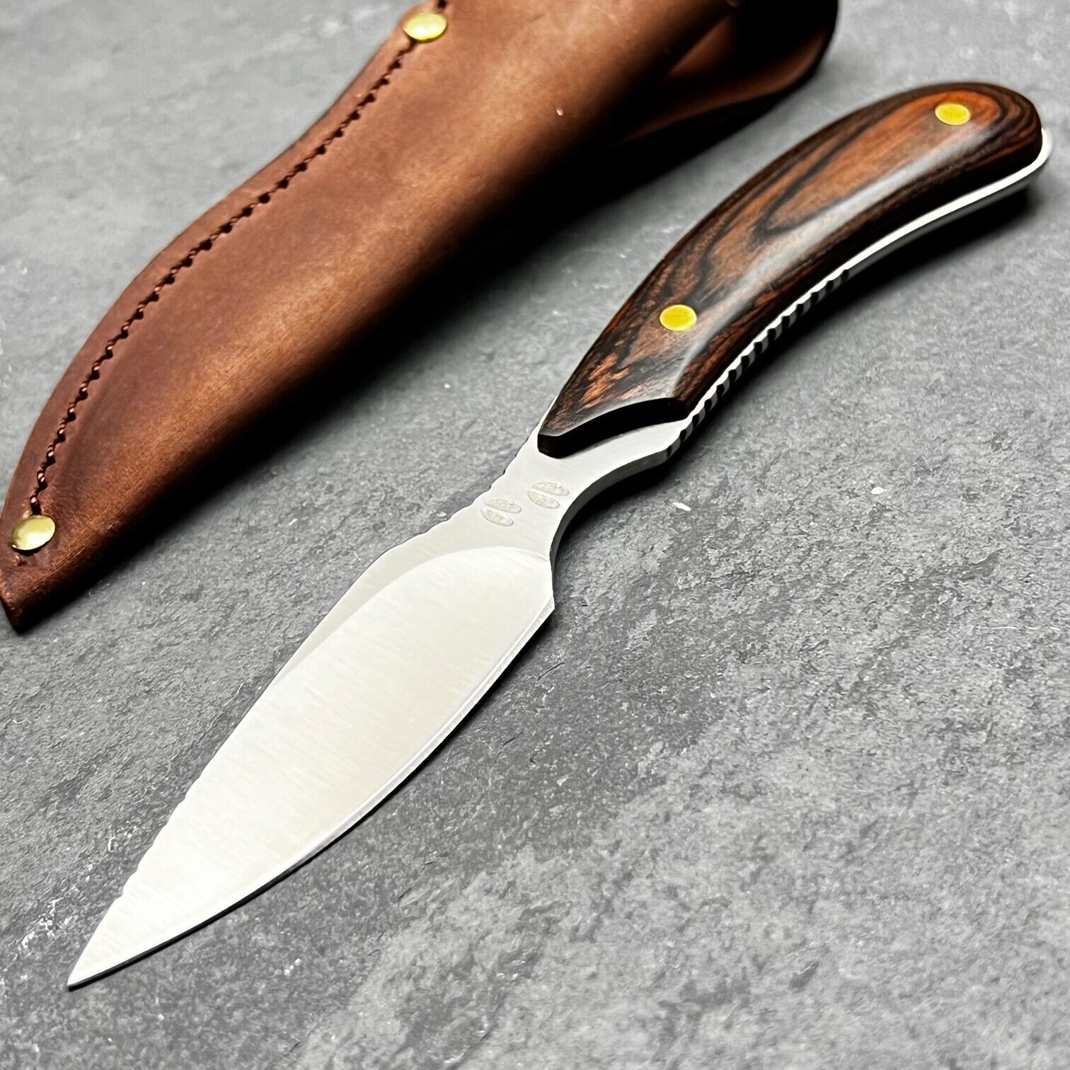 OUTDOOR EDGE Dark Timber Walnut Handle Caper Full Tang Fixed Blade Knife Sheath