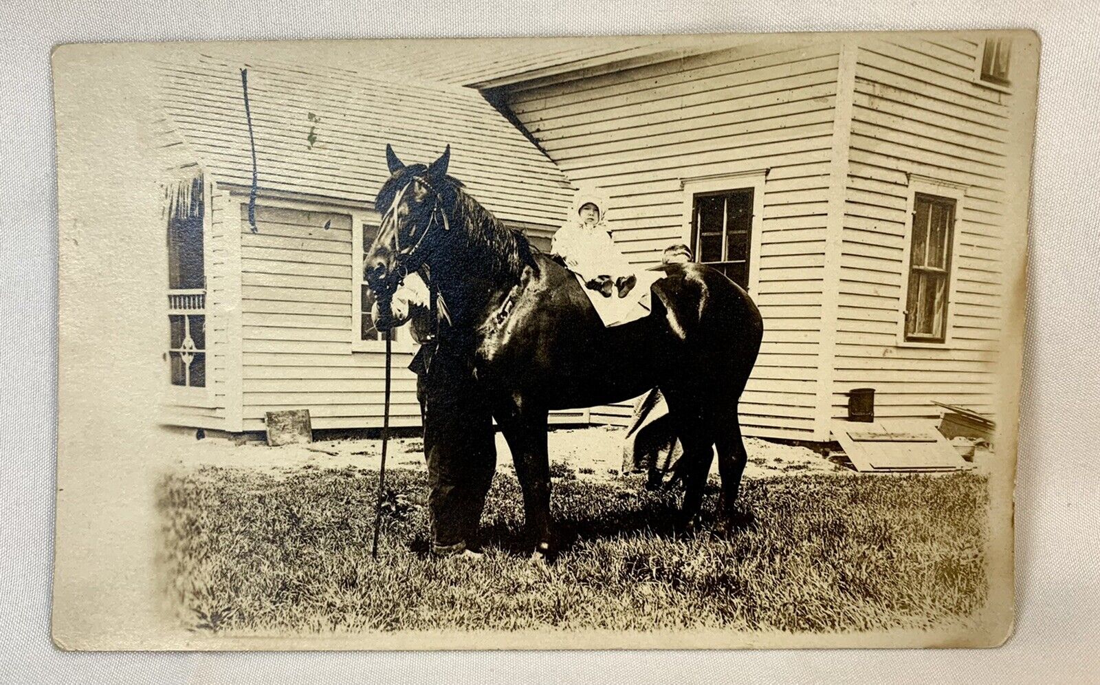 Vintage RPPC Hidden Mother & Father - Child Sitting On Horse Postcard c1900s