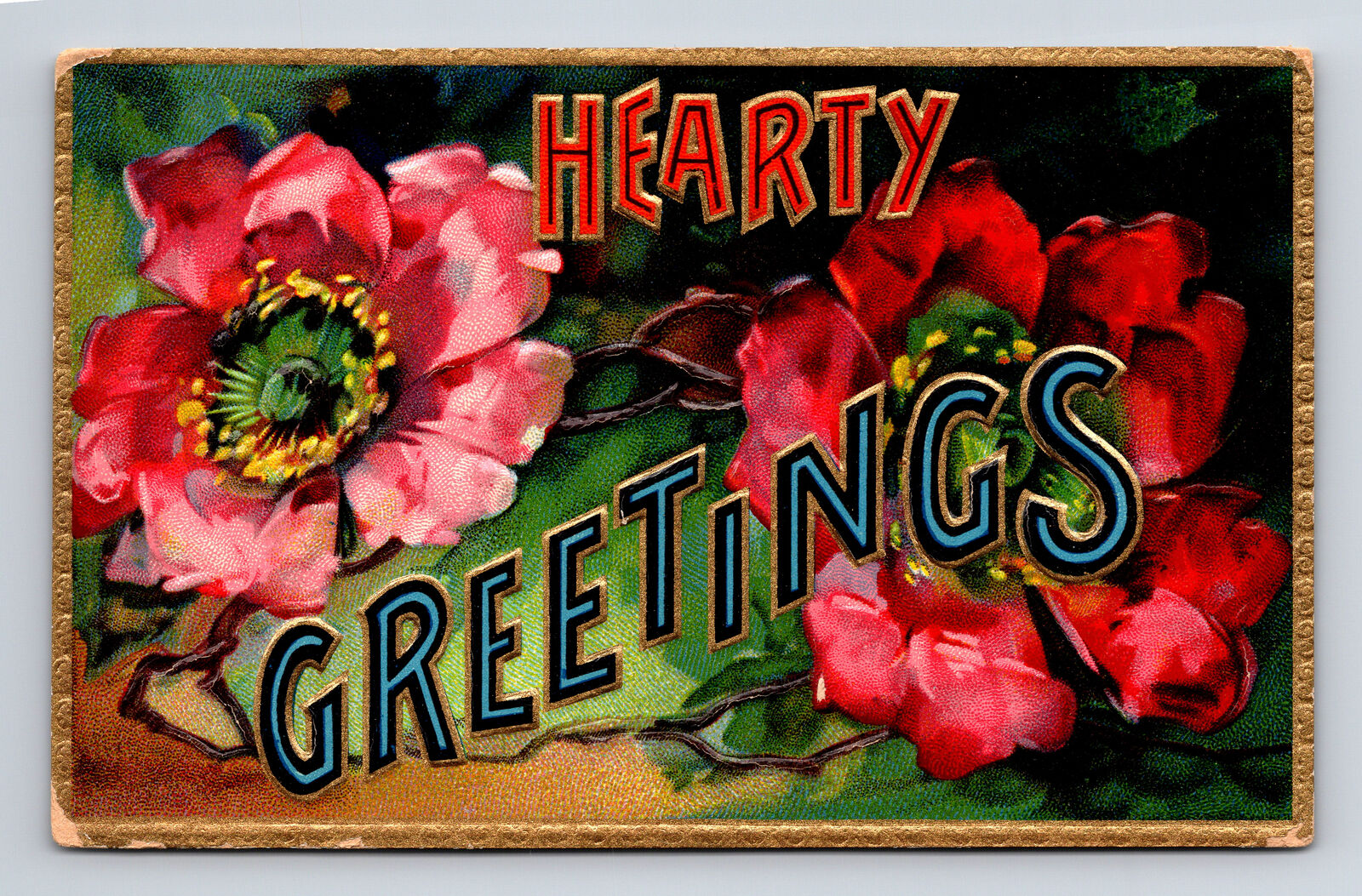 1909 Gold Border Red Flowers Poppy Hearty Greetings Napoleon OH Postcard