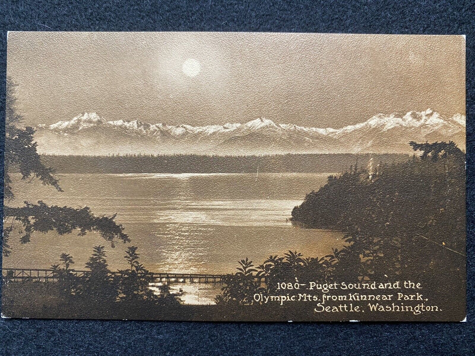 Seattle Washington WA Olympic Mountains From Kinnear Park Antique Postcard Photo