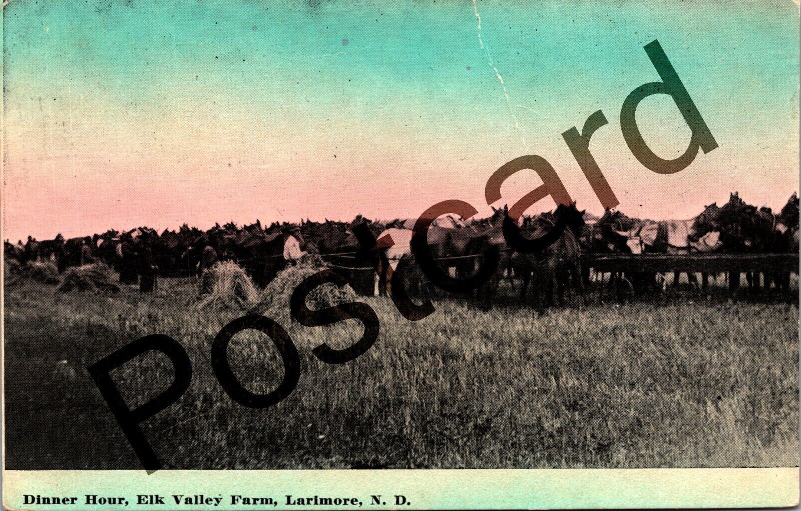 1915? Dinner Hour, Elk Valley Farm, Larimore ND, horses,  postcard jj197