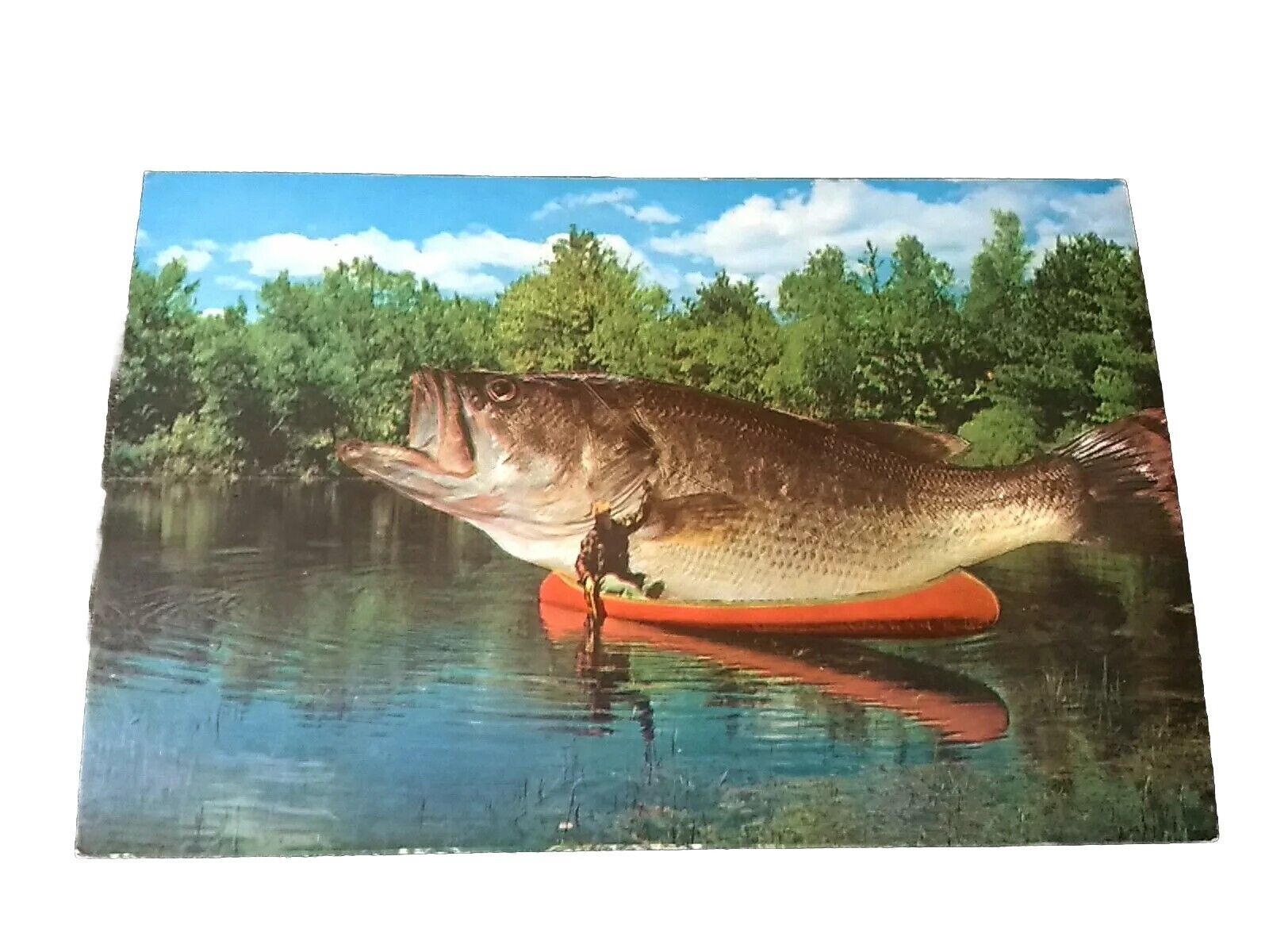 Postcard The Big One Got Away Man in Canoe With Massive Fish