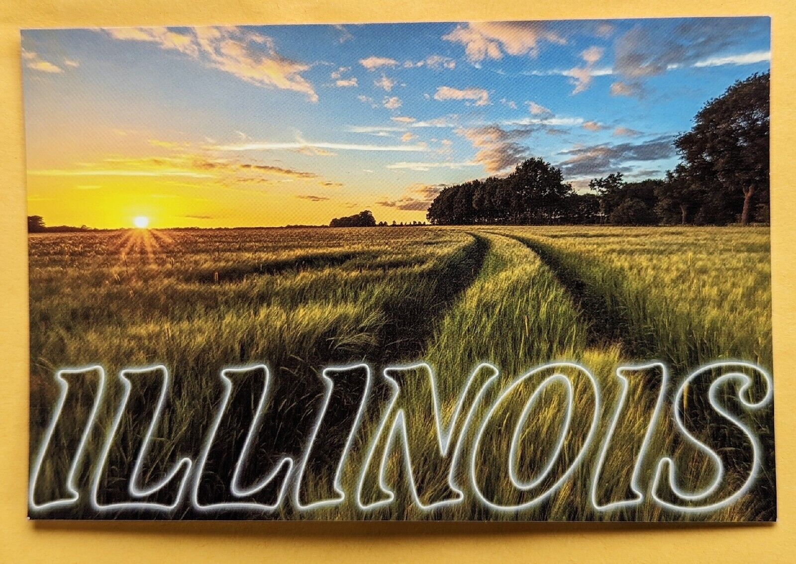  Postcard IL: Illinois Sunset Wheat Field 