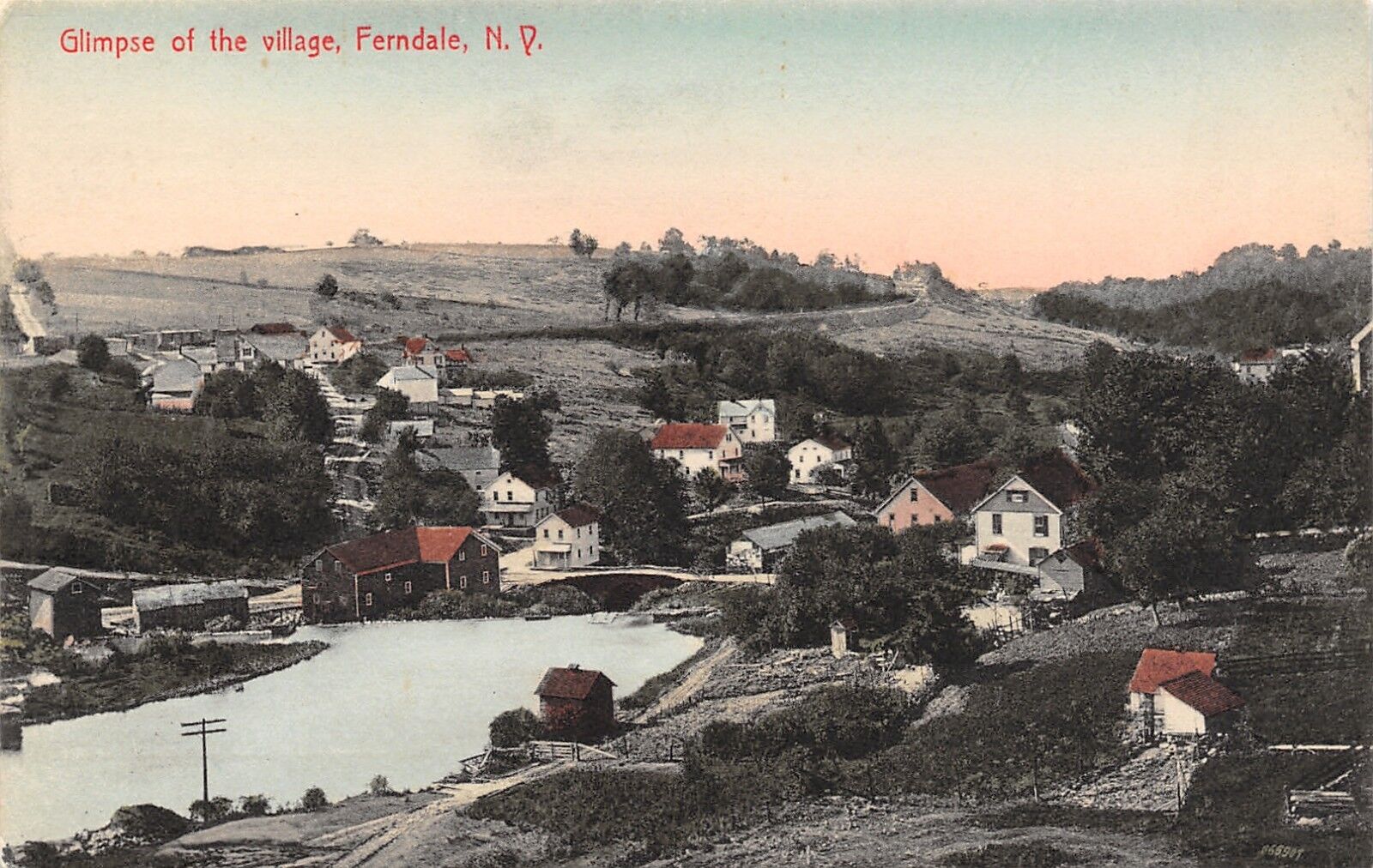Ferndale New York~Village Birdseye~Homes~Pond~2 Miles From Clyde~1908 Handcolor
