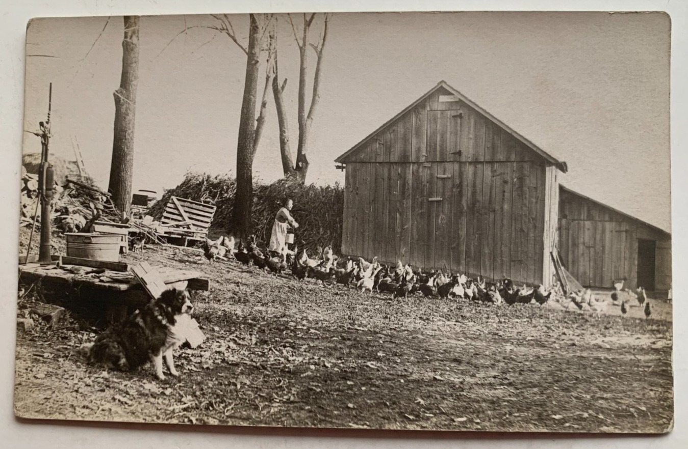 ca 1910s IA RPPC Postcard Clinton Iowa Farm Bldg Woman Feeding Chickens dog AZO
