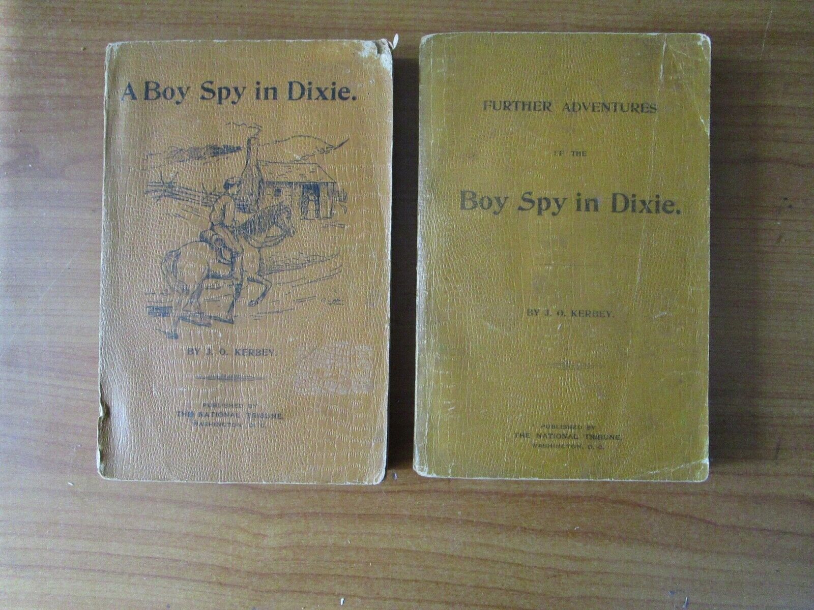 2 Book CIVIL WAR C.S.A BOY SPY IN DIXIE & ADVENTURES 1879 by KERBEY Illustrated