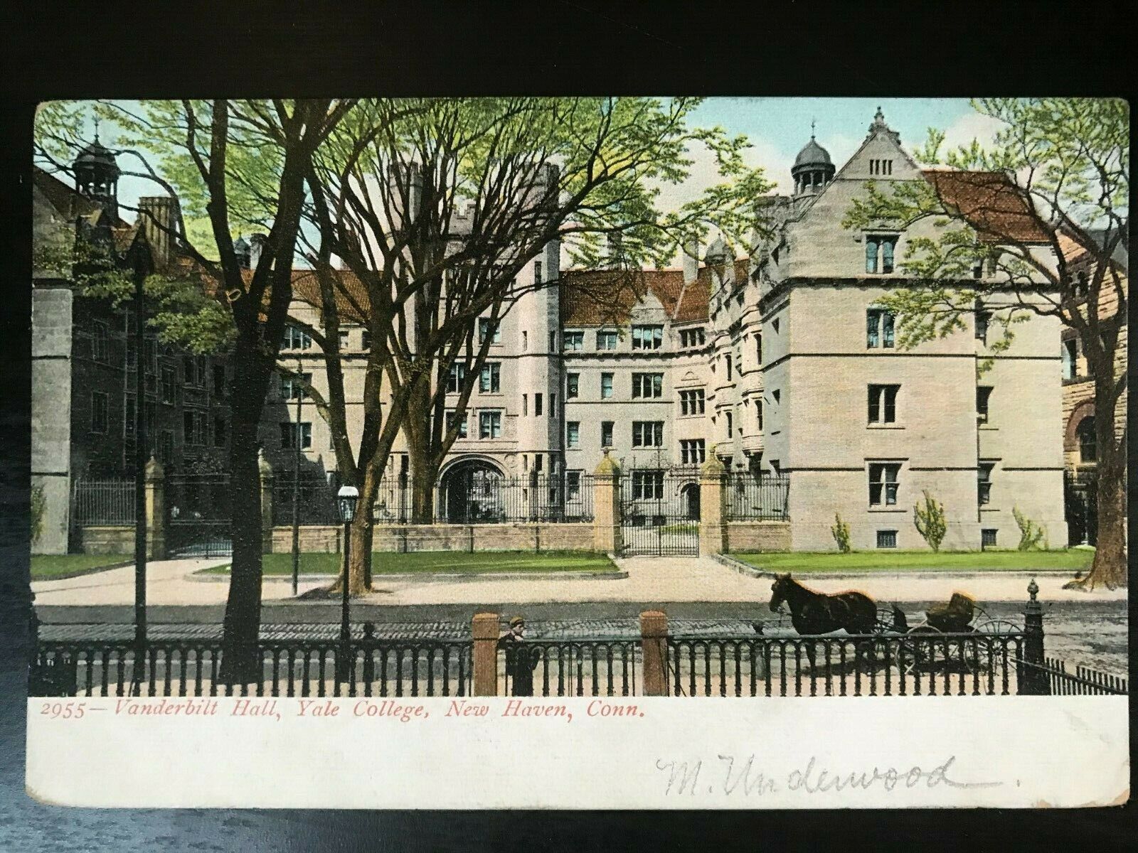 Vintage Postcard 1908 Vanderbilt Hall, Yale College, New Haven, Connecticut (CT)