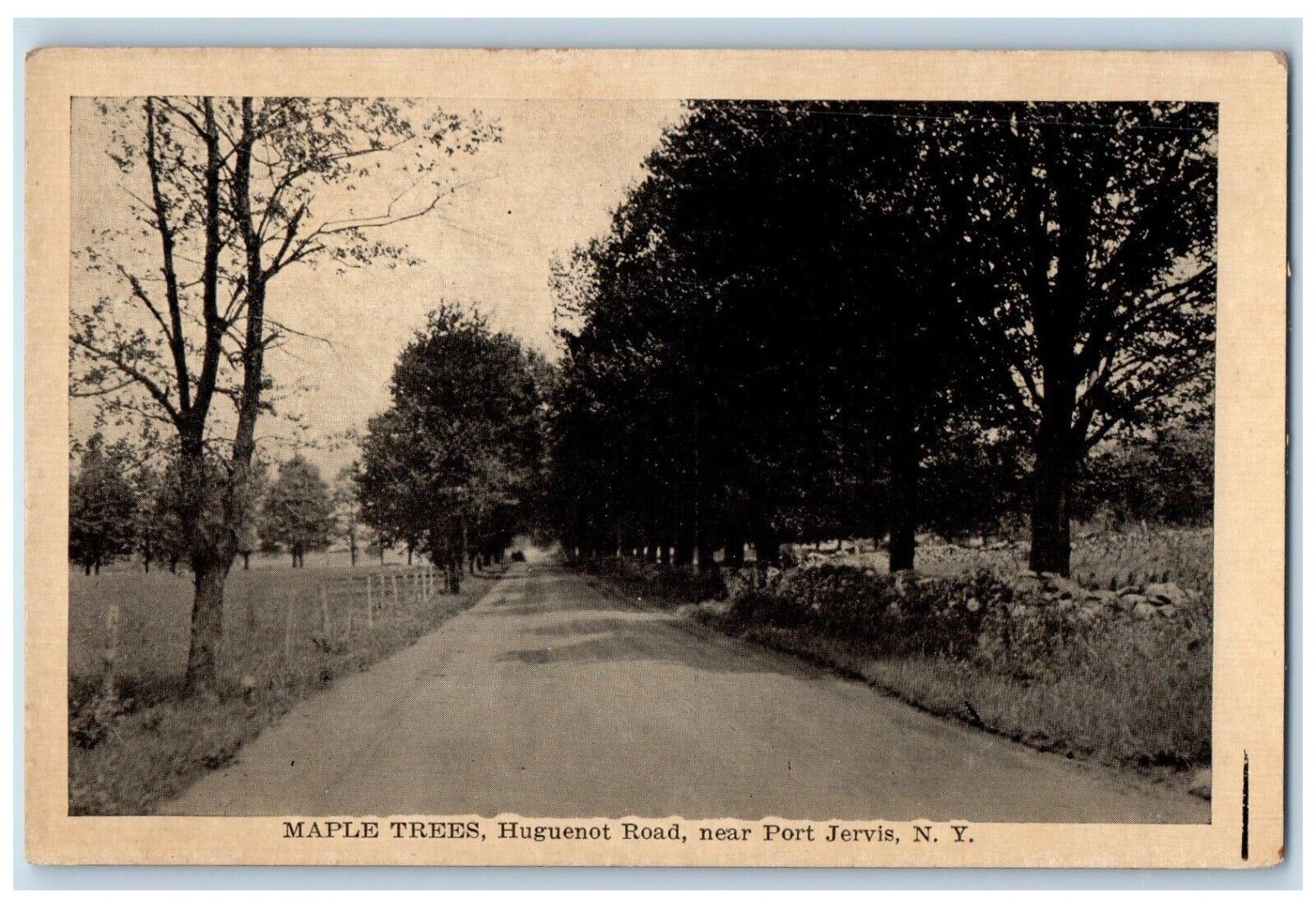 c1910 Maple Trees Huguenot Road Port Jervis New York NY Vintage Antique Postcard