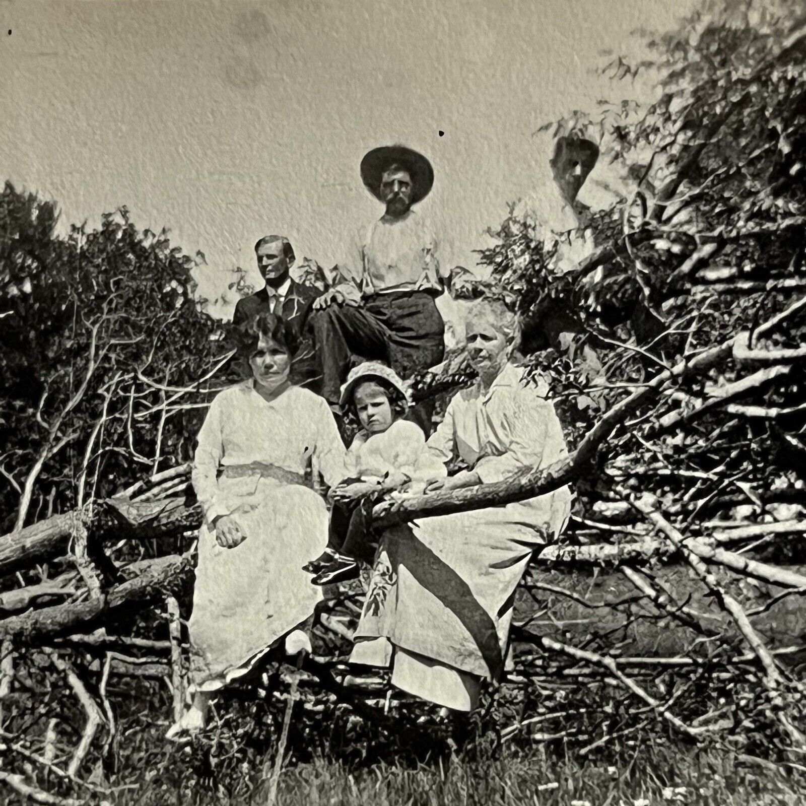 Antique Snapshot Photograph “Family Tree” Men Women Children In Downed Tree