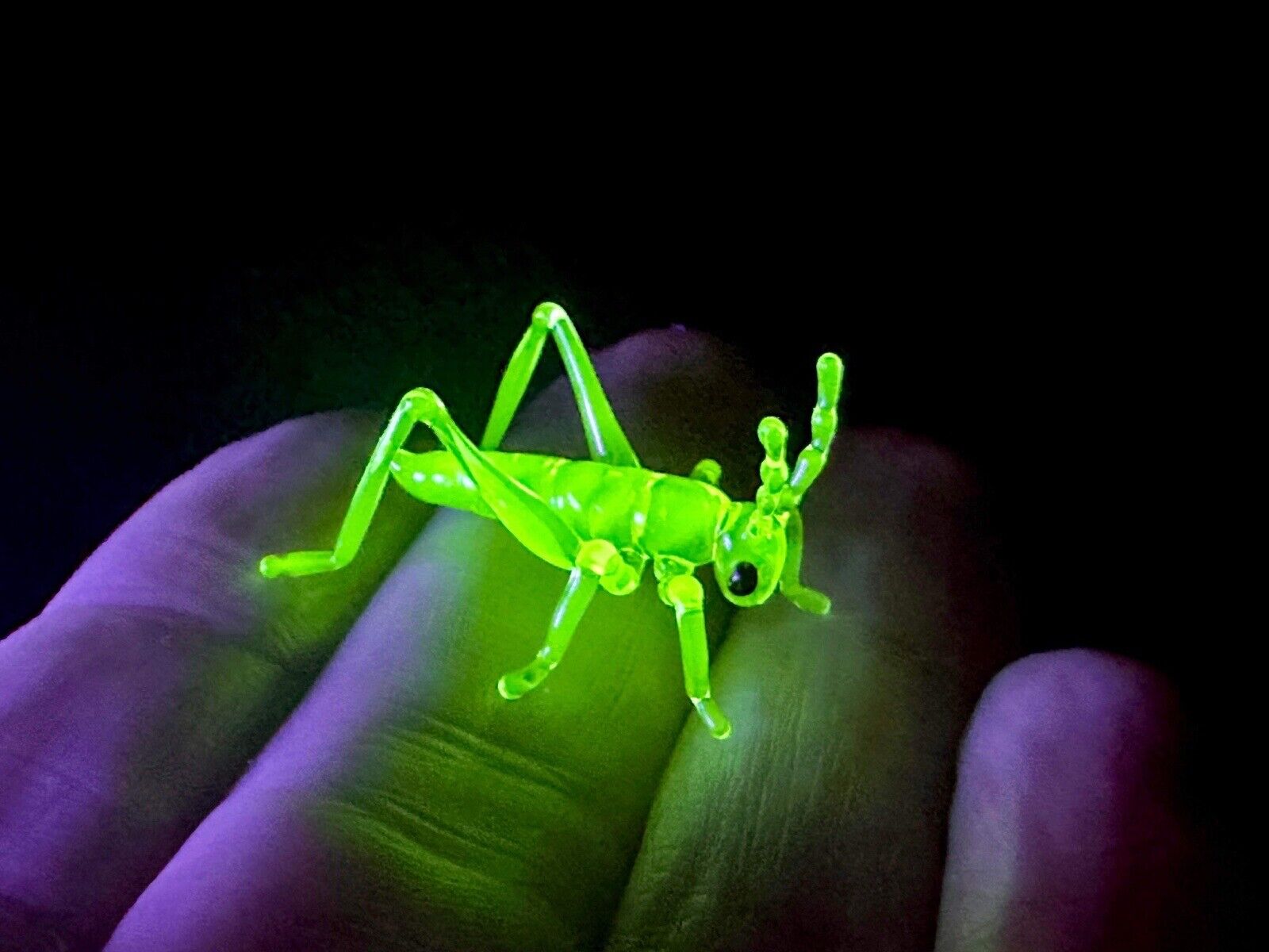 Uranium Vaseline Grasshopper By Rafael