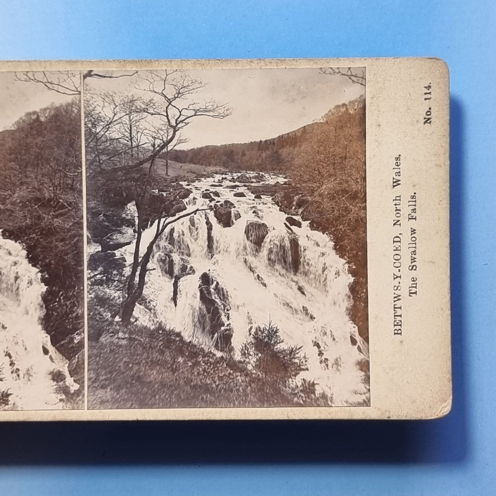 Conway StereoView 3D C1895 The Castle Suspension Bridge By Spencer Wales