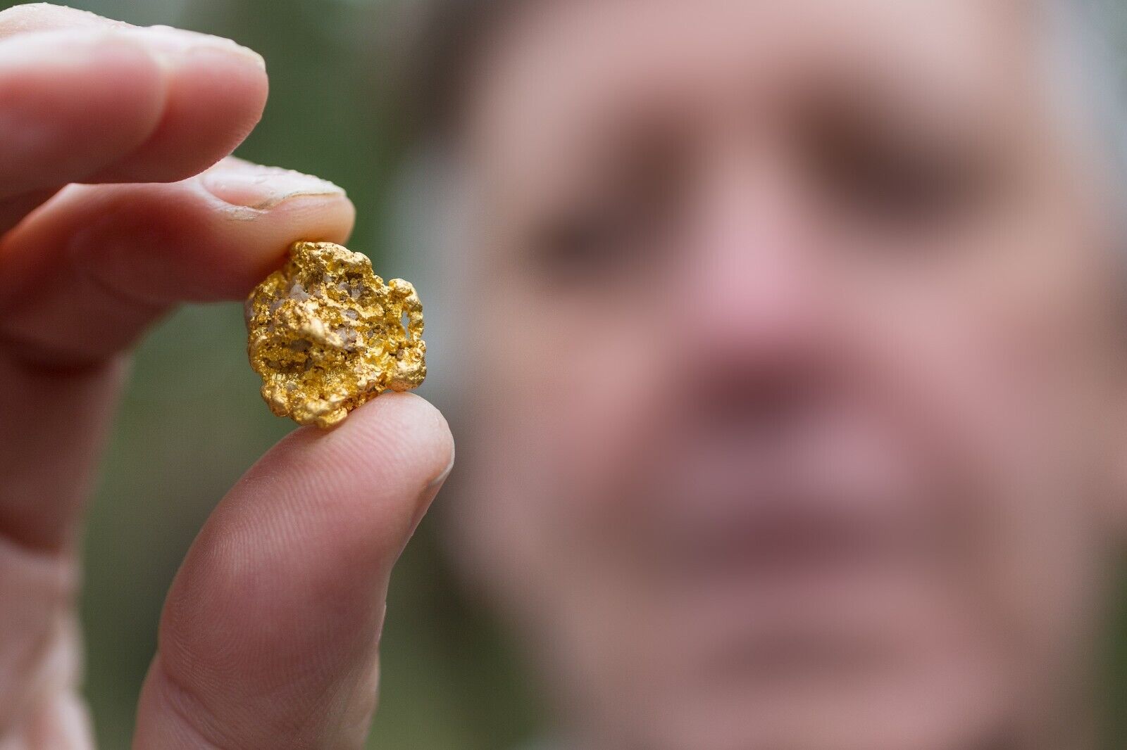 Gold Fever Unleashed: Golden Oasis Blend Premium Paydirt for Serious Prospectors