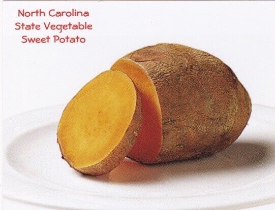 North Carolina State Vegetable-Sweet Potato, North Carolina